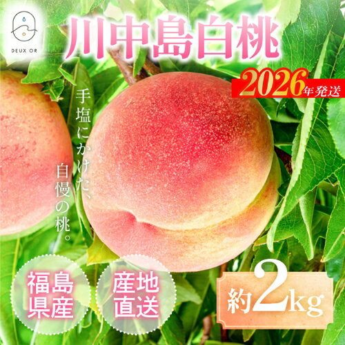 【ふるさと納税】No.2671もも「川中島白桃」約2kg【2026年発送 先行予約】