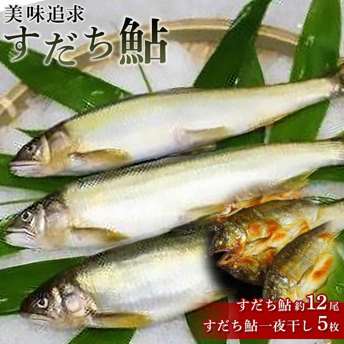 美味追求すだち鮎（冷凍鮎約12尾）・一夜干し（冷凍5枚）セット | あゆ 魚 魚介 おかず 産地直送 新鮮 徳島 人気 おすすめ 送料無料