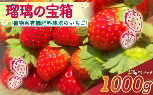 【植物系有機肥料のいちご】 瑠璃の宝箱 いちご 計1000g 250g×4パック 《2026年2月～5月発送》 先行受付 有機 有機JAS 植物系有機肥料 イチゴ 苺 オーガニックイチゴ ストロベリー ベリー フルーツ ケーキ ジャム デザート 果物 甘い 国産 ブランド 新鮮 産地 直送 フレッシュ 人気 おすすめ ふるさと納税 京都 八幡 八幡市 かみむら農園