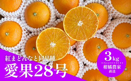 【2026年11月下旬から発送予定】 数量限定 愛果28号（紅まどんなと同品種） 約3kg みかん 紅まどんなと同品種 果物 紅まどんなと同品種 フルーツ 紅まどんなと同品種 愛媛県【HMN0061】