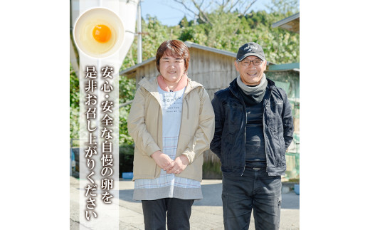 初卵！ 健康電子卵 白卵 108個（54個×2トレー）（うち、割れ保証分8個）国産 鹿児島県産 鶏卵 若鶏が初めて産んでから3週間くらいの間に産んだ大変貴重な卵【00-095-07】
