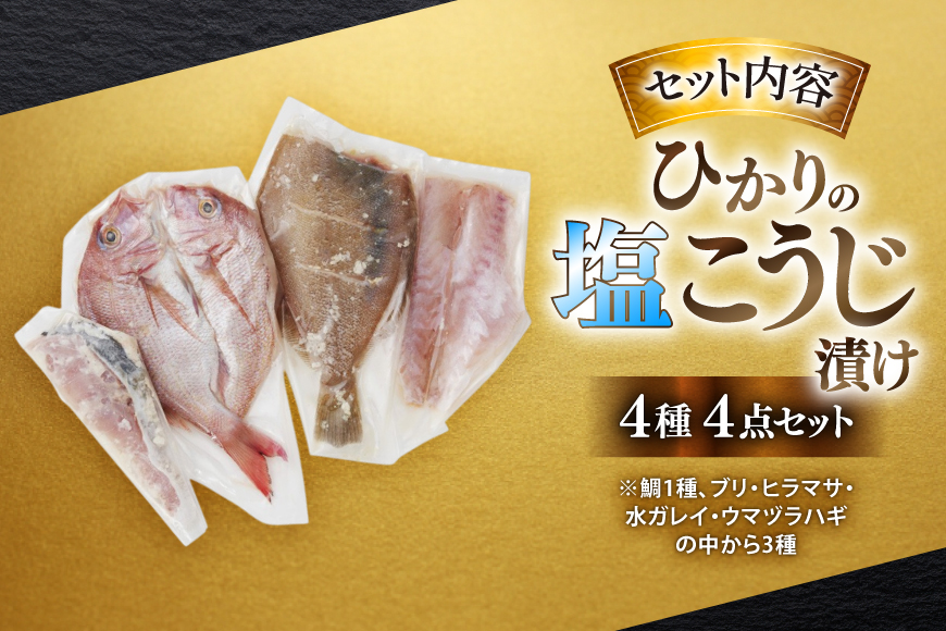 漬け魚 漬魚 塩麹 塩こうじ 魚介 詰め合わせ ひかりの塩麹 4種 セット [ひかり 長崎県 平戸市 hr42bgy420312] お茶漬け 焼き魚 焼魚 鯛 鯛めし ブリ 鰤 海鮮 漬け づけ 漬け