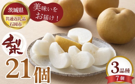 No.604 【先行予約】梨　21個（3品種×7個）【茨城県共通返礼品 石岡市】 ／ 旬 新鮮 なし ナシ 果物 フルーツ 茨城県 特産品