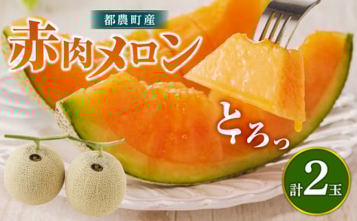先行予約≪期間限定≫都農町産「赤肉メロン」計2玉 フルーツ 果物 デザート 国産_T015-006-N