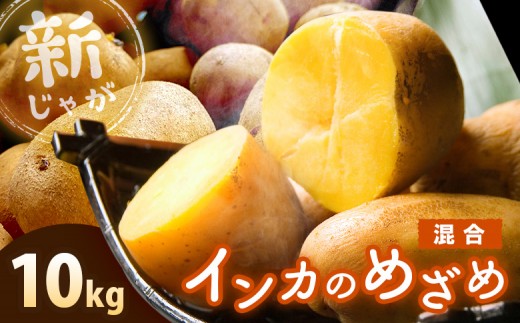 
                  《！数量限定！》【新じゃが】インカのめざめ 混合サイズ 10kg | 北海道野菜 野菜 じゃがいも ジャガイモ 芋 いも 馬鈴薯 新じゃが 新じゃがいも インカのめざめ インカの目覚め インカのめざめ10kg 10kg 10キロ 黄色いじゃがいも 黄金色 根菜 ホクホク 煮崩れしにくい 煮物 揚げ物 フライドポテト ポテトサラダ 常備野菜 お取り寄せ 北海道 恵庭市 恵庭【83000803】
                