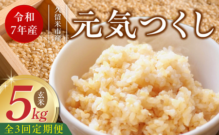 【定期便3回】【令和7年産 新米】福岡県産ブランド米元気つくし 玄米 5kg×3回 _Tk076