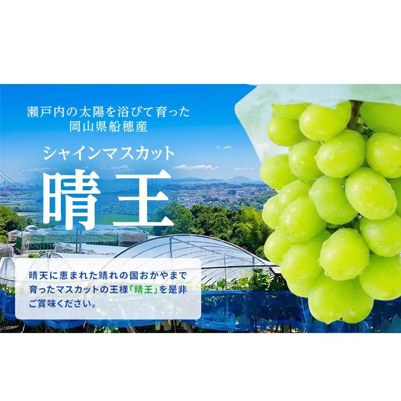 シャインマスカット 晴王 岡山県船穂産 シャインマスカット【1房 約600g】【先行予約】