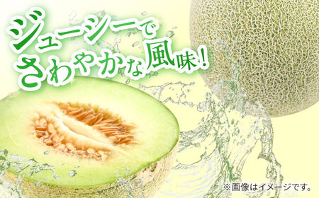 【2025年5月～発送】【さわやかな味わい!】訳あり タカミメロン 約4.5kg（傷もの）/ メロン めろん フルーツ 果物 / 南島原市 / 南島原果物屋[SCV025]