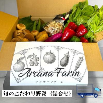 ふるさと納税 南国市 【毎月定期便】新鮮野菜 計9〜11品目全2回