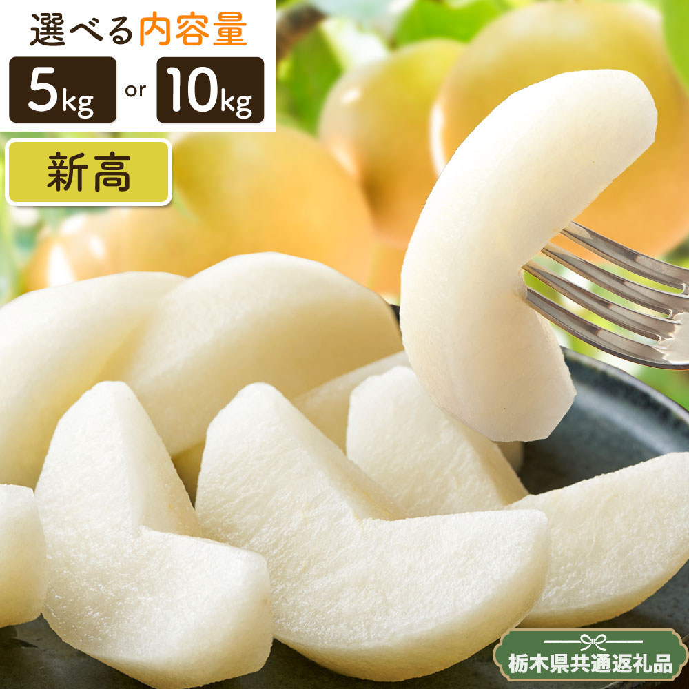 【ふるさと納税】N07 梨 なし 新高梨 5kg or 10kgフルーツ 先行予約 矢畑むらづくり組合《9月中旬-9月末に出荷予定(土日祝除く)》 栃木県【栃木県共通返礼品　栃木県産】【配送不可地域あり】