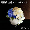 【ふるさと納税】胡蝶蘭 花 生花アレンジメント 400mm × 350mm 041（コ） 結婚 オアシス 誕生日 プレゼント 母の日 父の日 敬老の日 生花 お花 アレンジメントフラワー フラワーアレンジメント 白 青 ブルー ホワイト ミニ おすすめ オープン 新築 退職 還暦 蘭 開設 鉢