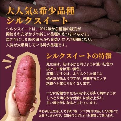 ふるさと納税 枕崎市 シルクスイート 〈4キロ〉サツマイモ さつまいも 人気品種 鹿児島県 A2-2 |  | 02