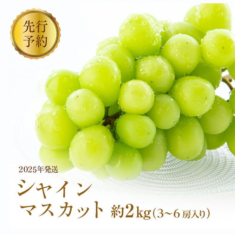 【ふるさと納税】廃盤　シャインマスカット約2kg（3～6房入り） 　お届け：2025年9月下旬～10月下旬