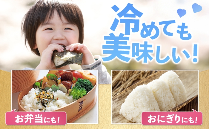 さがびより ご飯 ごはん 米 お米 おこめ 弁当 お弁当 銘柄米 お米 白米