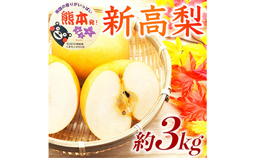 新高梨 3kg ナシ 梨 果物 くだもの フルーツ FKP9-734