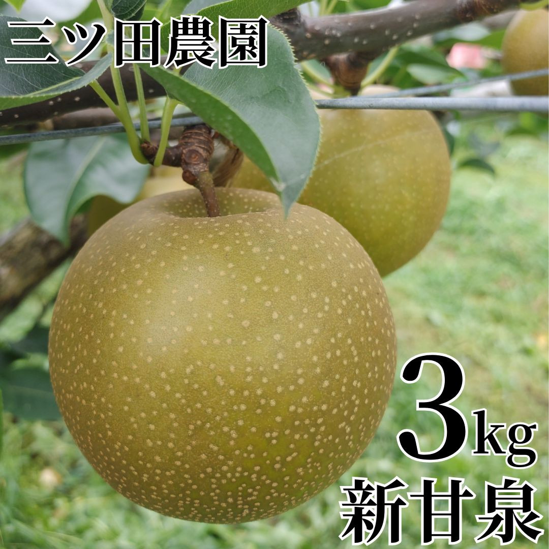 
                  203M.■三ツ田農園■新甘泉3kg
                
