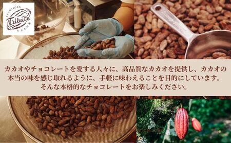 ガトーショコラ 4個 日本で味わえる本格派 濃厚ガトーショコラ 洋菓子 焼き菓子 菓子 お菓子 おやつ デザート スイーツ 濃厚チョコレートケーキ ケーキ チョコケーキ チョコレートケーキ チョコレー