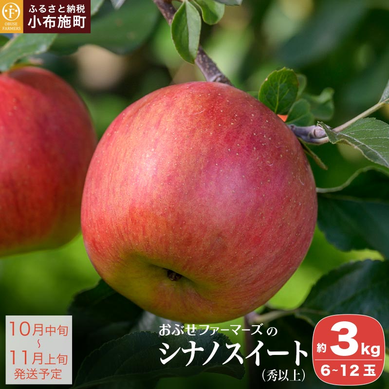 【ふるさと納税】 シナノスイート 秀以上 約3kg 6～12玉［おぶせファーマーズ］ りんご 林檎 リンゴ 果物 フルーツ 長野 信州 先行予約 数量限定 令和7年産 【2025年10月中旬〜11月上旬発送】