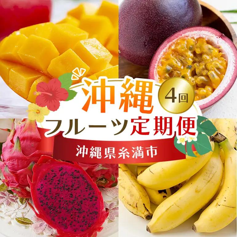 フルーツ 定期便 全 4回 名護パイン園 178-7