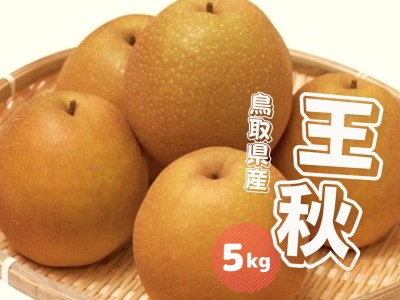 王秋 梨 5kg 鳥取県産【10月中旬～10月下旬 先行予約受付 おうしゅう ナシ なし 5ｷﾛ JA米子選果場 0612