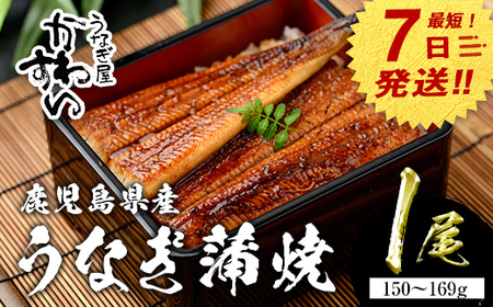 【7営業日以内に発送！】＜うなぎ屋かわすい＞鹿児島県産 国産 うなぎ 蒲焼 タレ 鰻 うな重 かばやき 1本 150～169g 【川口水産】A853
