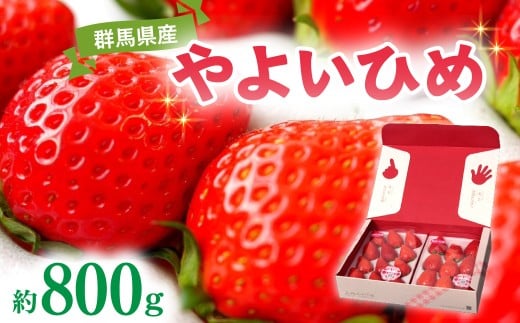 いちご やよいひめ 800g 1回発送｜ 朝採れ やよいひめ たっぷり 贈答用 新鮮 特大 完熟 いちご 旬 苺 ストロベリー 高級 産地直送 果汁 甘い あまい 人気 高評価 減農薬 有機肥料 生産 生産量 産地 王国 高糖度 エコファーマー ごほうび プレゼント 群馬県 前橋市