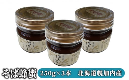 [№5795-0155]そば蜂蜜250g×3本　北海道幌加内産