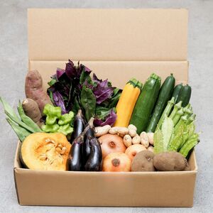 ＜12ヵ月定期便＞農業遺産認定農家 陽子ファームの旬の野菜詰め合わせ 7～8種 | 埼玉県 所沢市 野菜 野菜 季節の野菜 無農薬 フレッシュ セット 詰め合わせ サラダ 料理 炒め物 煮物 スムージ