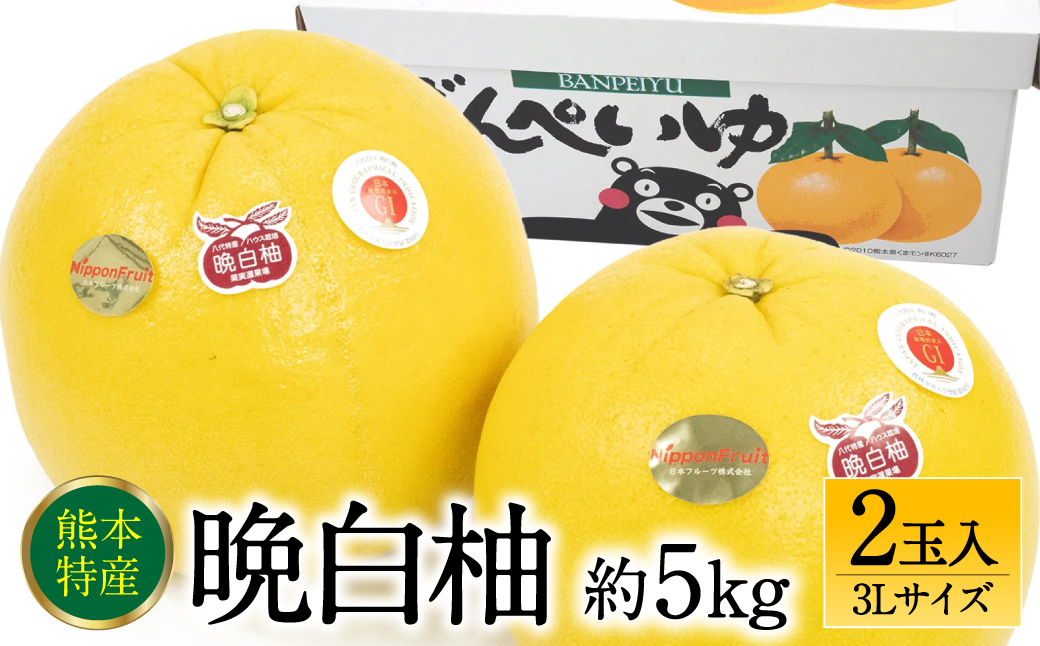 【先行予約】 晩白柚 ばんぺいゆ 3Lサイズ 2玉 約5kg 果物 果実 くだもの フルーツ 柑橘 柑橘類 熊本県 八代市 【2026年12月上旬より順次発送】