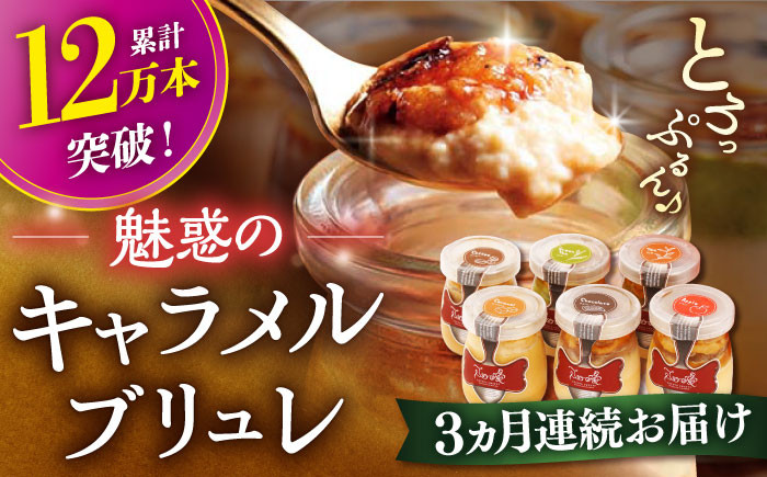 
            【全3回定期便】長崎県産ミルクのキャラメルブリュレ 6種セット 平戸市 / 心優 −Cotoyu Sweets− [KAA228] キャラメル ブリュレ スイーツ デザート プリン 人気 おすすめ 通販 ギフト プレゼント お取り寄せ
          