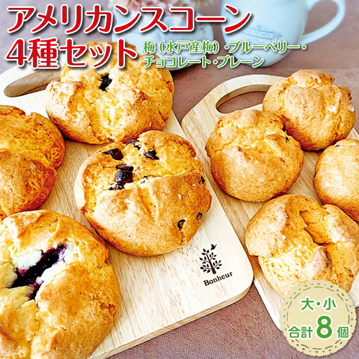【ふるさと納税】アメリカンスコーン4種（大・小）セット 【ベーカリー パン おやつ 食事 セット 詰め合わせ 卵不使用 焼き菓子 梅ジャム ブルーベリー チョコレート 冷凍 水戸市 水戸 茨城県】（DD-6）