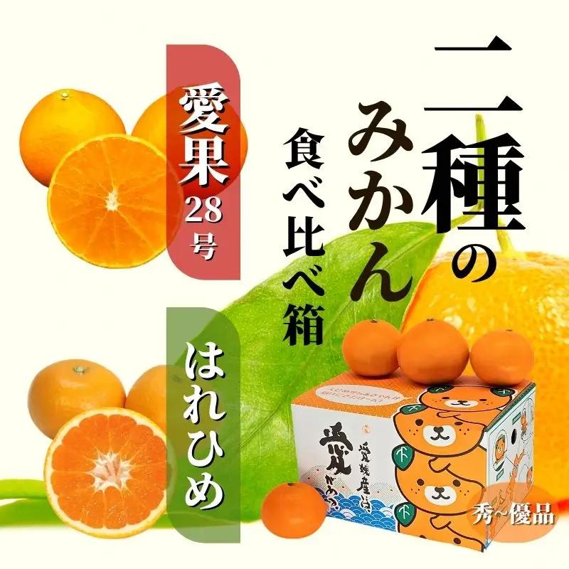 【早期予約受付中！2026年12月より順次発送】二種のみかん食べ比べ箱 【愛果 28 号・はれひめ】 約 1.5kg 秀~優品 みかん 先行予約 蜜柑 柑橘 果物 くだもの フルーツ お取り寄せ グルメ 期間限定 数量限定 人気 おすすめ 愛媛県 松山市 【PT042】