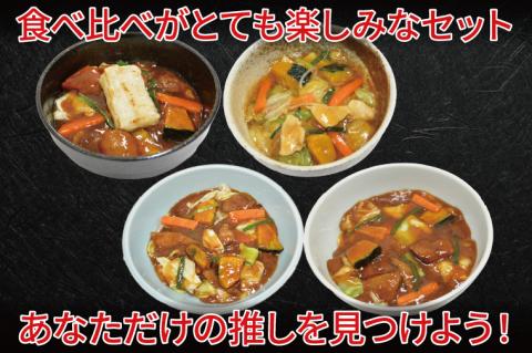 【日時指定必須】スタミナラーメン４種食べ比べセット（長井おやじ、水車、八海、日向各１食＋餅１個）【ラーメン 麺 スタミナ 冷やし ラーメン 食べ比べ ご当地ラーメン ご当地グルメ 茨城県 水戸市】（F