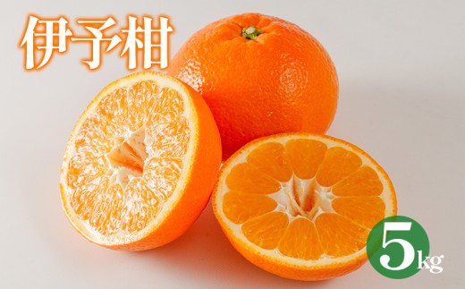 伊予柑 約5kg 【2027年1月下旬から順次発送 】 | 愛媛 みかん 柑橘 ミカン かんきつ 蜜柑 フルーツ くだもの 果実 オレンジ mikan カンキツ 果物 ふるーつ 防腐剤不使用 マーマレード ピール お菓子 おやつ デザート グルメ お取り寄せ 送料無料 松山市 愛媛県
