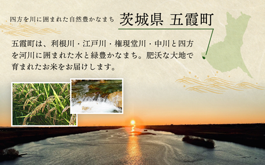 【新米先行受付】令和7年産『五霞の輝き』無洗米・16kg(5kg×2袋、6kg×1袋)出荷日に合わせて精米 - ブレンド米 お米 コシヒカリ あきたこまち ミルキークイーン ひとめぼれ ゆめひたち あ
