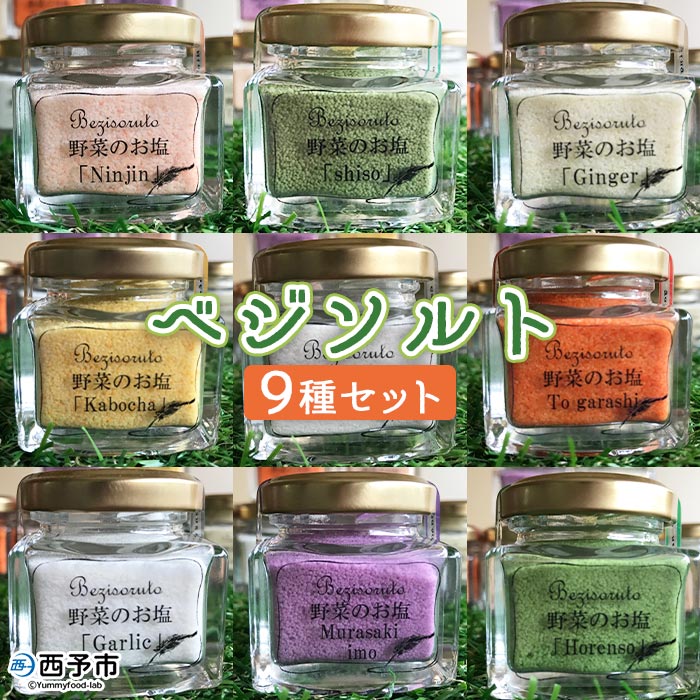 ＜ベジソルト 9種類＞ 野菜 柑橘 かぼちゃ ごぼう しょうが にんにく ほうれん草 みかん 菊芋 紫芋 人参 大葉しそ 柚子 えひめ活き生きファーマーズ株式会社 愛媛県 西予市