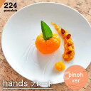 【ふるさと納税】hands -pinch- プレート 1点 やきもの 焼き物 磁器 器 肥前吉田焼 佐賀県嬉野市/224 [NAU193]