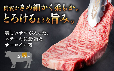 【飛騨牛】A4等級以上 サーロイン ステーキ用 10枚（2.5kg）【肉の丸長】 和牛 ブランド牛 国産  [TAZ003]