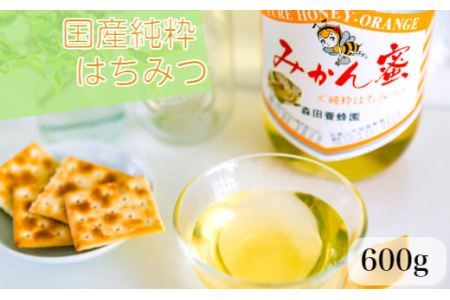 国産純粋はちみつ(みかん蜜) 600g(B163-1)