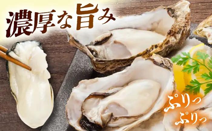 冷凍 殻付き牡蠣 10kg 牡蠣[XAE067]