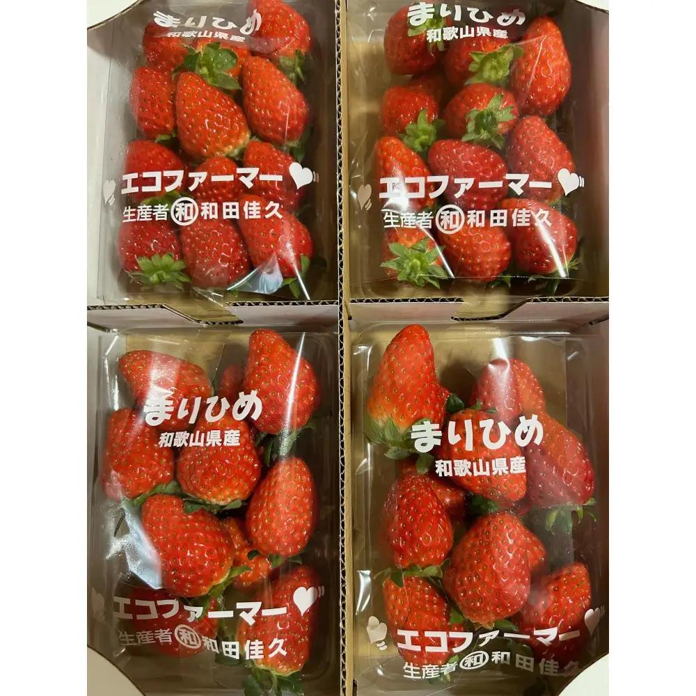 紀州和歌山ブランドいちご「まりひめ」約250g×4P 【UT39】