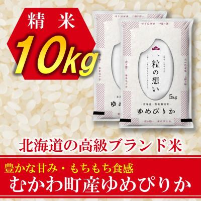 ふるさと納税 むかわ町 【令和7年産先行予約】北海道のブランド米!北海道むかわ町産ゆめぴりか　精米10kg