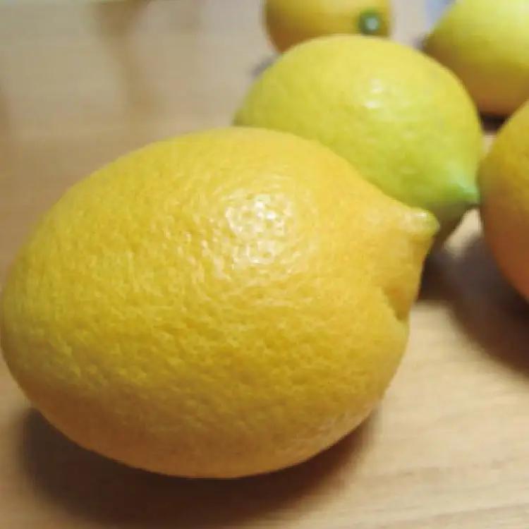 【国産】紀州和歌山 有田レモン 約1kg+200g(傷み補償分)【2026年9月下旬～2027年2月上旬に順次発送】【AA90090-ard030B】