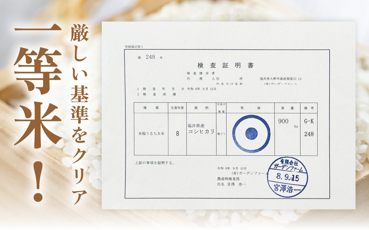【先行予約】【令和8年産 新米】【3ヶ月定期便】一等米 越前大野産 エコファーマー認定農家栽培こしひかり 白米 5kg × 3回 計15kg 【2026年10月より順次発送】
