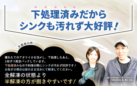 【先行予約】≪-60℃で急速冷凍≫若狭アオリイカ 刺身用2～3枚（合計180g）【2025年11月中旬以降順次発送予定】下処理済みだからシンクも汚れず大好評！ [m17-a073]