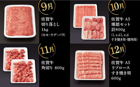 【12回定期便】佐賀牛 フルコース定期便 【桑原畜産】[NAB110]佐賀牛 牛肉 肉 佐賀牛 牛肉 A5 佐賀牛 牛肉 a5 佐賀牛 牛肉  A4 佐賀牛 牛肉 a4 佐賀牛 牛肉   佐賀牛 牛肉
