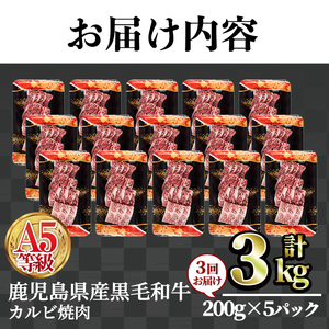 ＜定期便・全3回＞A5等級鹿児島県産黒毛和牛カルビ焼肉(計3kg・200g×5パック×3回) カルビ 焼肉 黒毛和牛【カミチク】T23