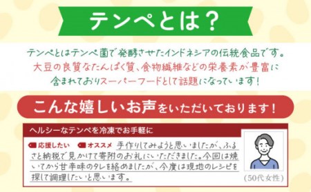 長崎てんぺ 8個セット / お手頃 一万円 大豆 健康食品 小分け パック 美容 健康 ヘルシー ヴィーガン 低カロリー 【大屋食品工業】[OAB001]