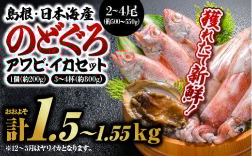 鮮魚セットA【のどぐろ2～4尾(約500g～550g)・イカ3～4杯(約800g)・アワビ(約200g×1)】｜ 漁解禁 受付再開 送料無料 のどぐろ アワビ イカ 島根 山陰 日本海産 魚介類 魚貝類 貝 海産物 魚 さかな あわび ノドグロ 鮮魚 剣先イカ ヤリイカ 煮付け 焼き魚 刺身｜【YM-1】