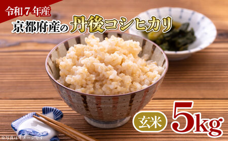 【玄米】令和7年産 丹後コシヒカリ 玄米 5kg